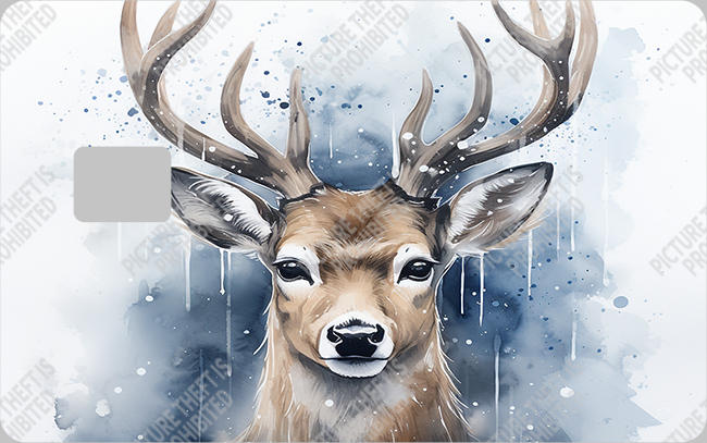 Bank  Card Sticker-BC-187